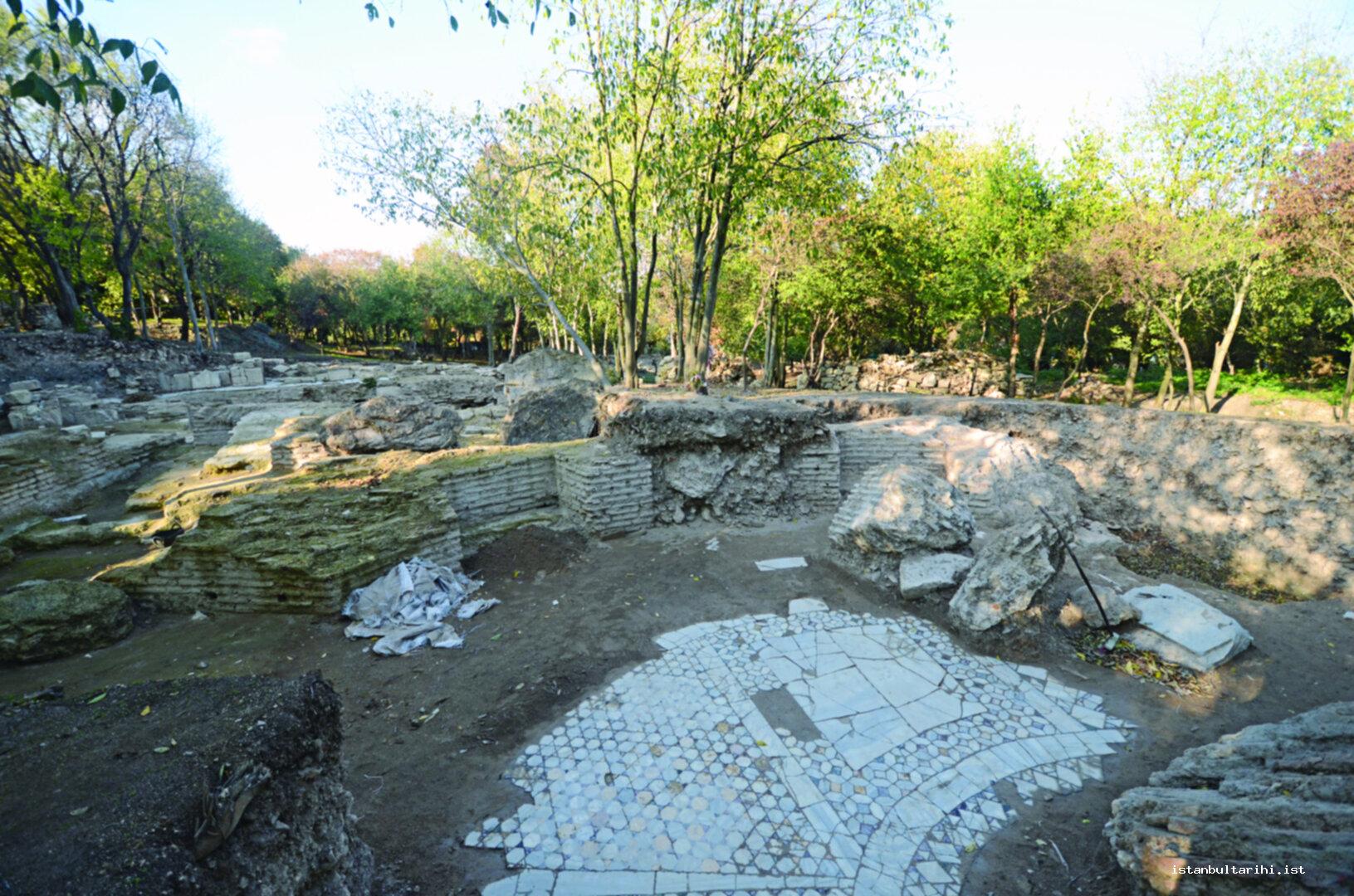 16- The floor of mosaic structure inside the fortress    