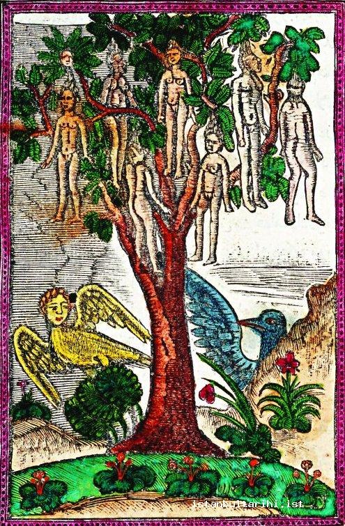 15- Representational vakvak tree (<em>Tarikh al-Hind al-Gharbi</em>, Müteferrika Edition)