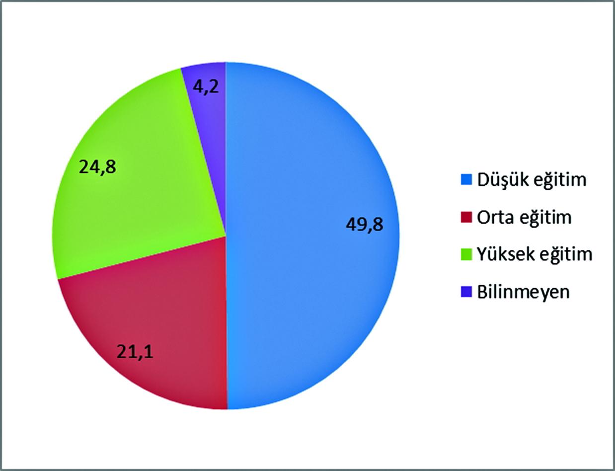Figure 8- Education profile of population in Turkey (2010)