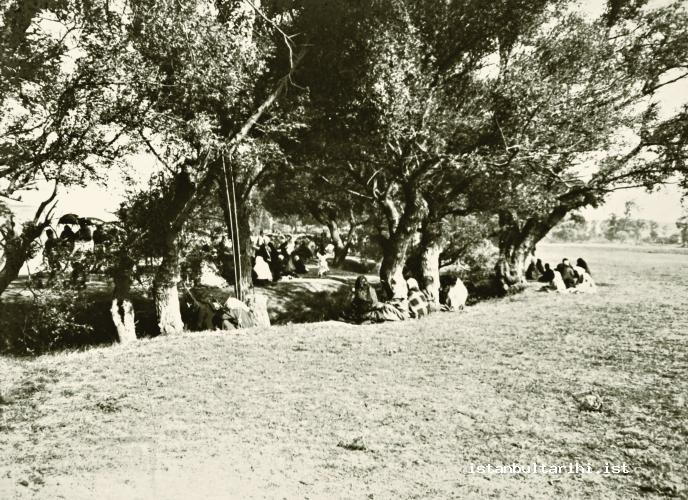 12- Men and women having fun in Veli Efendi park (Istanbul Metropolitan Municipality, Atatürk Library, Album no. 159)