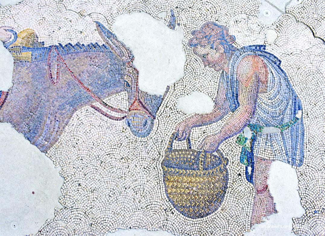 5- A farmer from Constantinople (Great Palace) (Mosaic Museum)