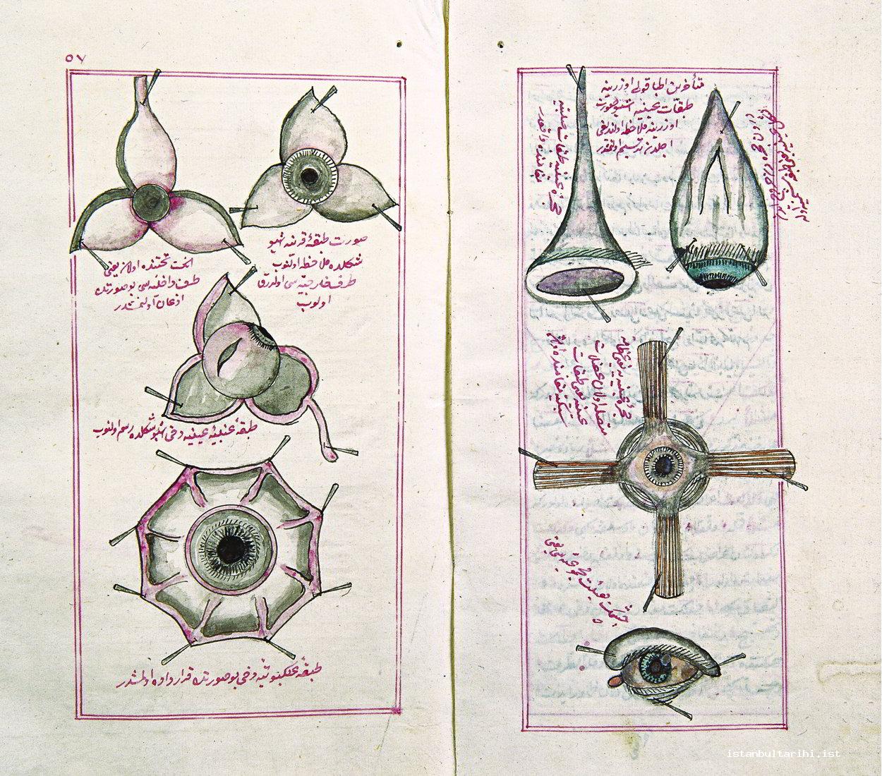 4- Chief Physician Gevrekzade Hasan Efendi’s drawings of eyes in Zubdat al-Kuhliyya (Topkapı Palace Museum Archive, H. 571 fol. 22b-23a)    